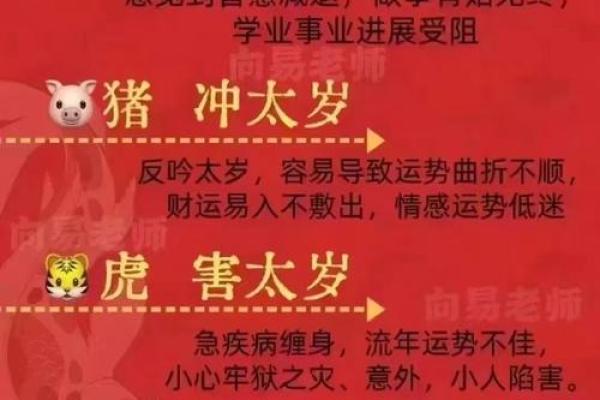 2024年金牛座运势详解财运爱情与事业全面解析