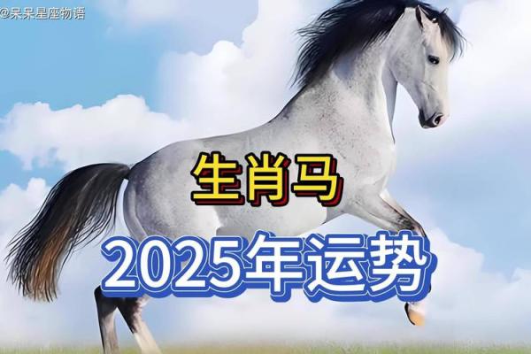 属马运势2025年运势详解_属马运势2025年运势详解图