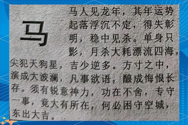 1978年属马女2025年每月运势及运程 1978年属马女2025年每月运势详解及运程指南