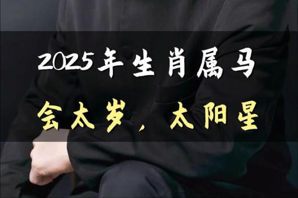属马人在2025年的幸运色_2025属马运势