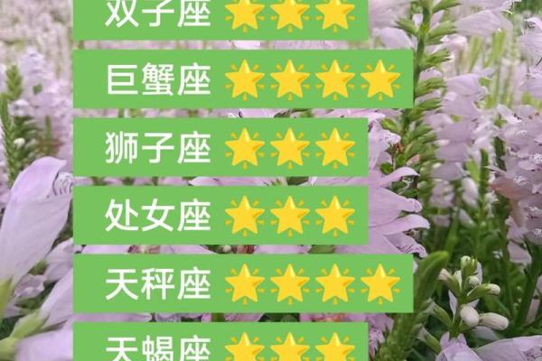 2025年3月28日白羊座今日第一星座运势