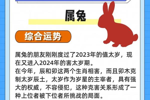 2011年属兔的今年多大了 2011年属兔今年多大年龄