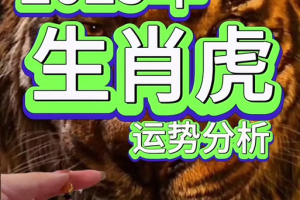 82年属狗女在2025年的运程_2025年82年属狗女运势解析事业财运与感情运程全揭秘