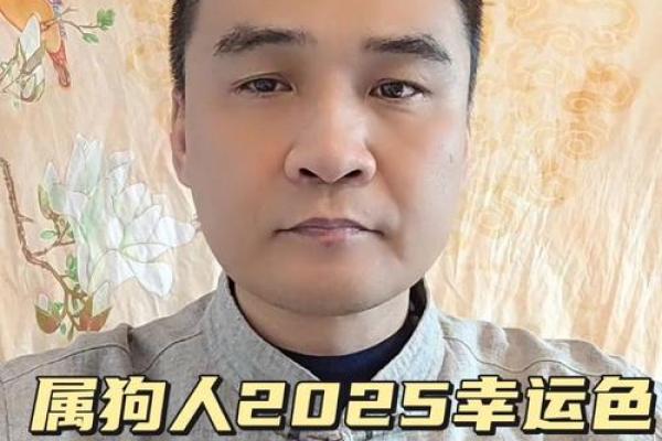 2025年属狗人的运气 2025年属狗人运势解析财运事业感情全预测