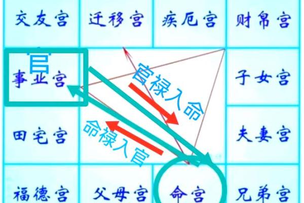 2025年2月20日子时男命紫微斗数全解盘