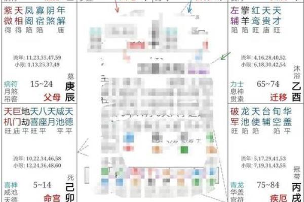 2025年3月28日寅时女命紫微斗数全解盘