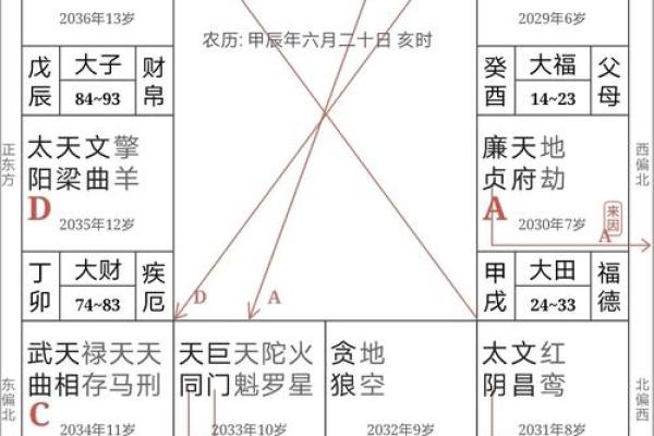 2025年2月17日寅时男命紫微斗数全解盘