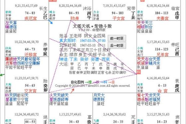 2025年3月9日丑时女命紫微斗数全解盘 2025年3月9日丑时女命紫微斗数全解盘