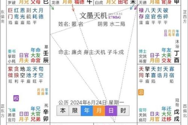 2025年3月9日丑时女命紫微斗数全解盘 2025年3月9日丑时女命紫微斗数全解盘