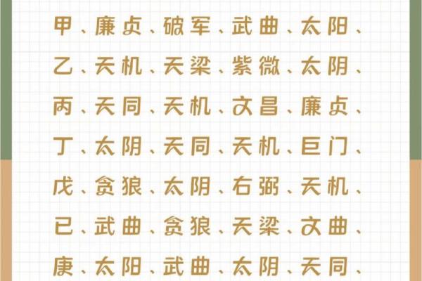 2025年2月23日卯时男命紫微斗数全解盘