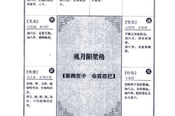 2025年3月4日寅时男命紫微斗数全解盘 2025年3月4日寅时男命紫微斗数全解盘