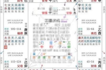 2025年2月20日寅时男命紫微斗数全解盘