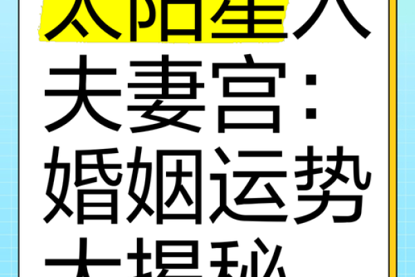 夫妻宫天姚解析揭秘婚姻运势与感情走向