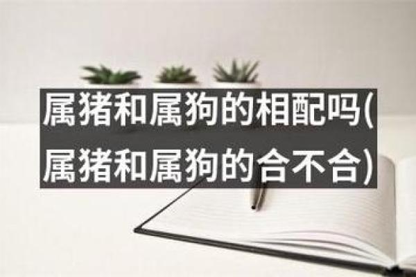 2007年1月属狗还是属猪_2007年1月属狗的今年多大