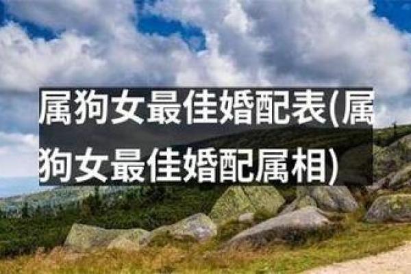 属狗男和属马女婚姻相配吗_90马94狗婚配为大忌