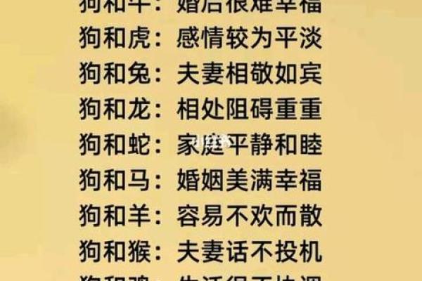 1982年属狗的最佳配偶属相 1982年属狗最佳配偶属相揭秘幸福婚姻指南