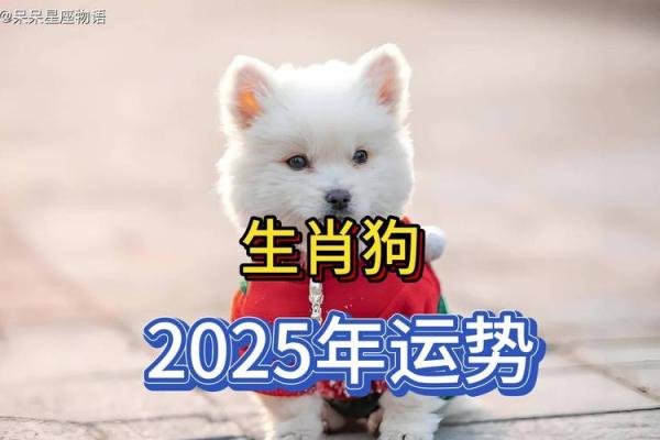 94年属狗人2025年全年运势 2025年属狗人全年运势详解94年出生者必看