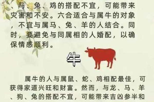 属狗的最佳配偶属相 属狗的最佳配偶属相揭秘12生肖中的完美配对