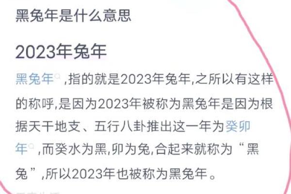 2023年是什么兔年五行属什么_2023年兔年五行属什么揭秘生肖与五行关系