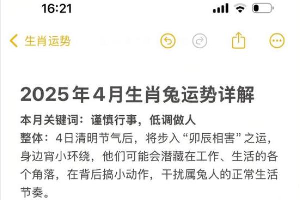 2025生肖兔运势_2025生肖兔运势及运程