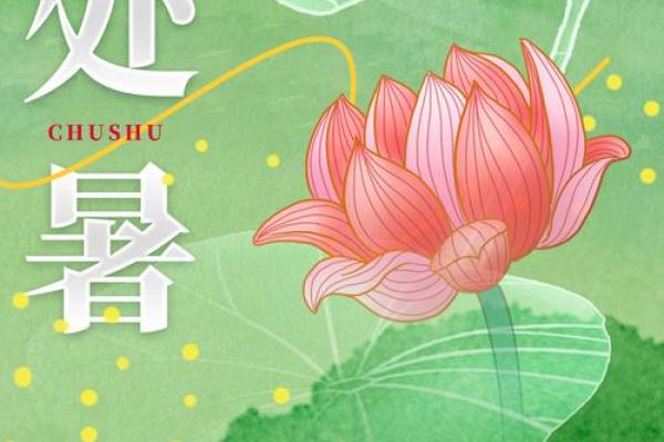 处暑是几月几日2024年 处暑是几月几日2024年