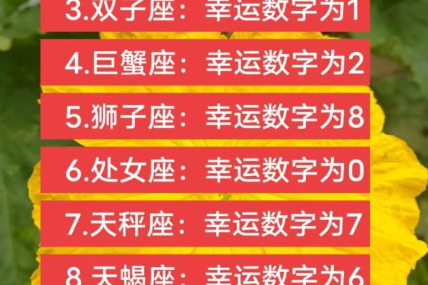 紫微科技星座白羊座今日运势(紫薇科技星座白羊座今日运势)