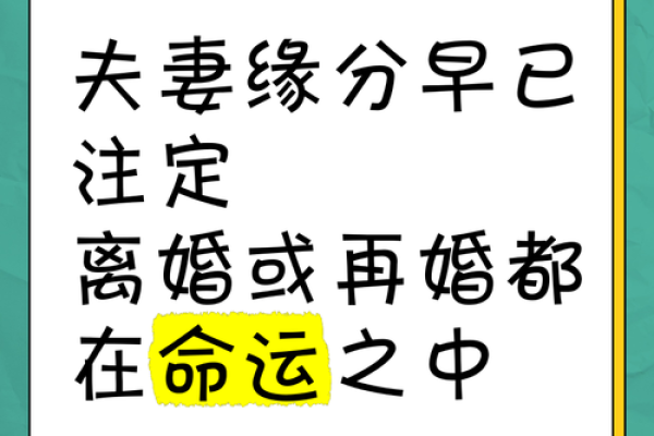 两个人的缘分真的是上天注定的吗揭秘命运与选择的奥秘 两个人的缘分真的是上天注定的吗揭秘命运与选择的奥秘