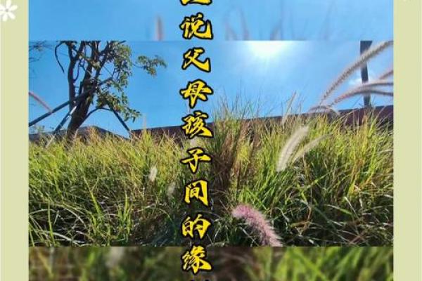 缘分浅是什么意思深度解析缘分浅的含义与影响