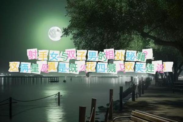 双子座男和射手座(双子座男和射手座女在一起会幸福吗)