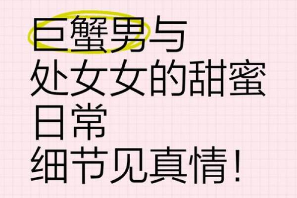 巨蟹座和处女座的关系怎么样(巨蟹座与处女座合不合适)