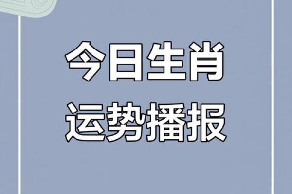 2025年4月28日生肖运势分析 2025年4月28日生肖运势分析