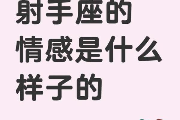 双子座对射手座的感情(双子座射手座配不配)