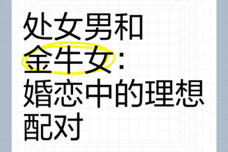 双子座女生处女座男生(双子座女生处女座男生合适吗)