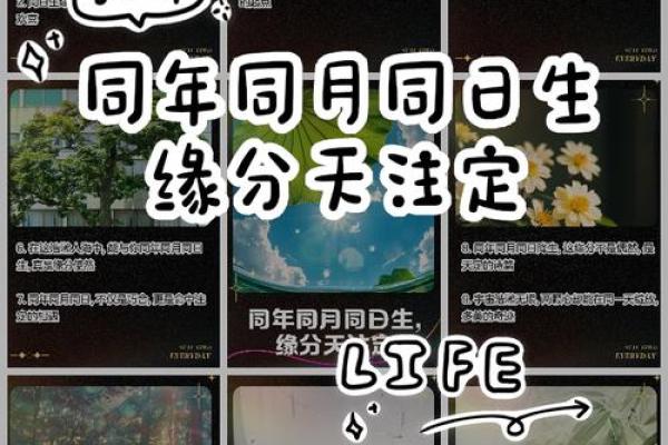 特别的缘分_特别的缘分遇见你是我最美的意外