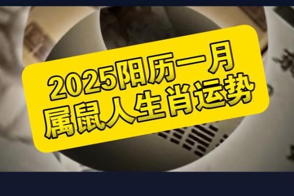 72年男鼠在2025年的全年运势