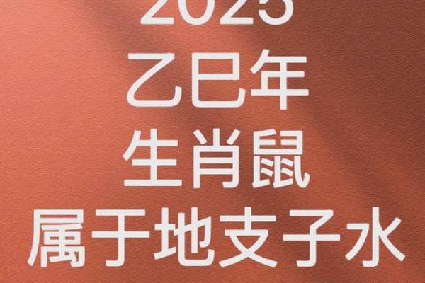 72年男鼠在2025年的全年运势