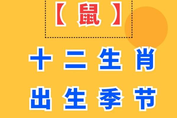 2025年生肖鼠运势