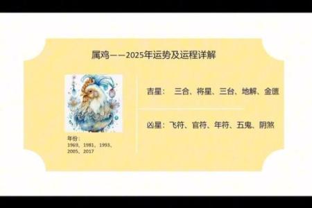 属鸡人2025年每月运势 1981年属鸡人2025年每月运势