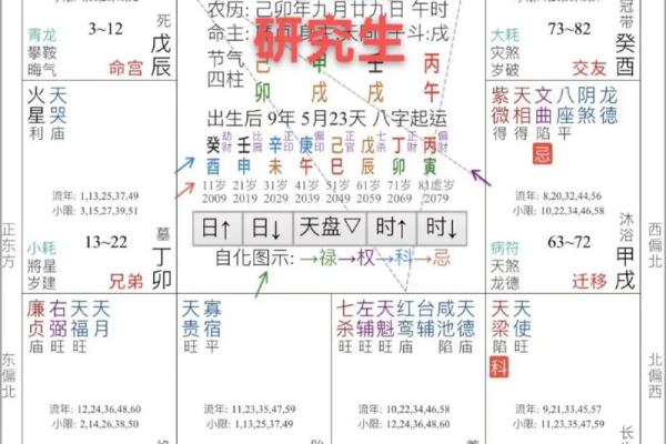 2025年4月4日卯时男命紫微斗数全解盘
