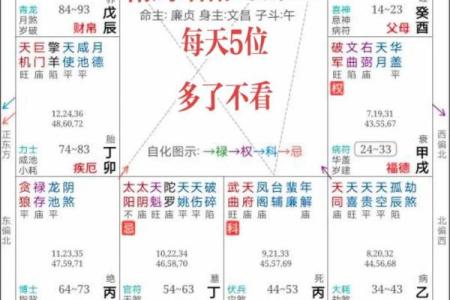 2025年4月9日丑时女命紫微斗数全解盘