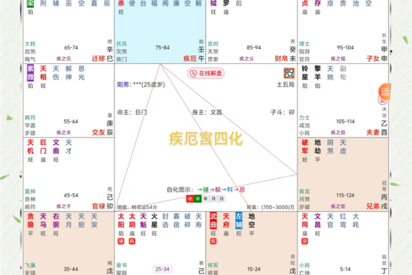 2025年4月16日戌时女命紫微斗数全解盘