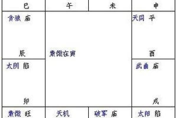 2025年4月25日未时男命紫微斗数全解盘
