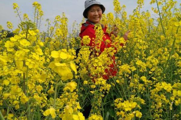 阳春三月好景色是什么生肖