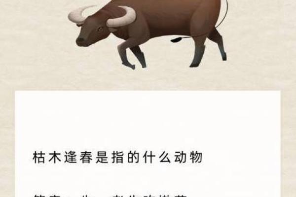 卸磨杀驴是什么生肖