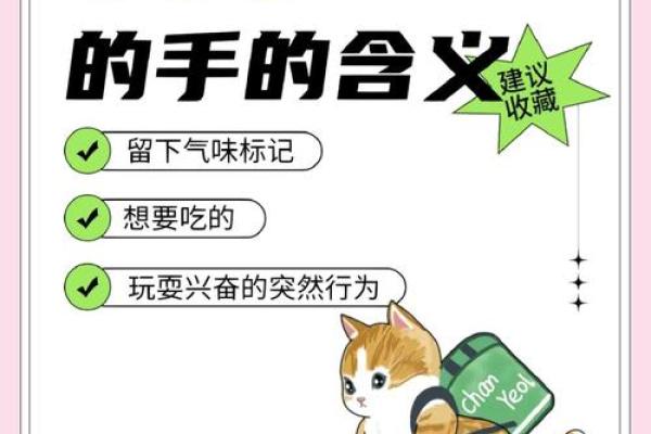 女人梦见猫咬手预兆