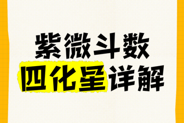 2025年4月11日未时男命紫微斗数全解盘