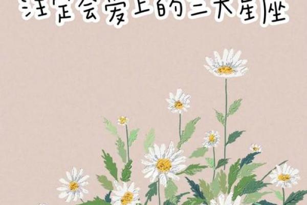 双子女的命运如何呢(双子座女命中注定的真爱) 双子女的命运如何呢(双子座女命中注定的真爱)