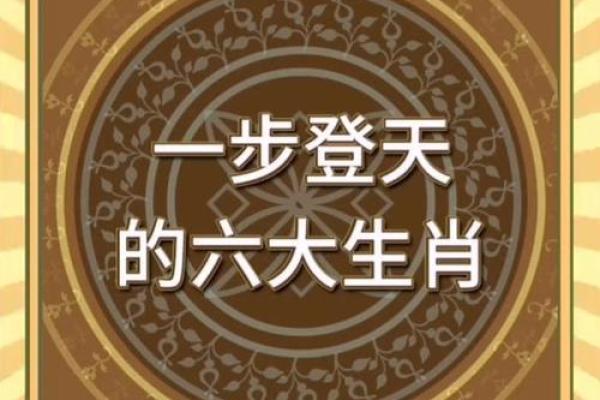 轻如鸿毛指什么生肖 轻如鸿毛指什么生肖