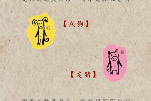 倚马千言打一最佳生肖(倚马千言什么生肖)