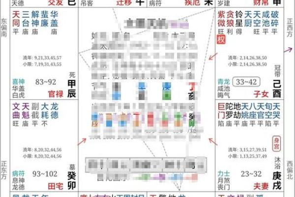 2025年4月19日戌时男命紫微斗数全解盘